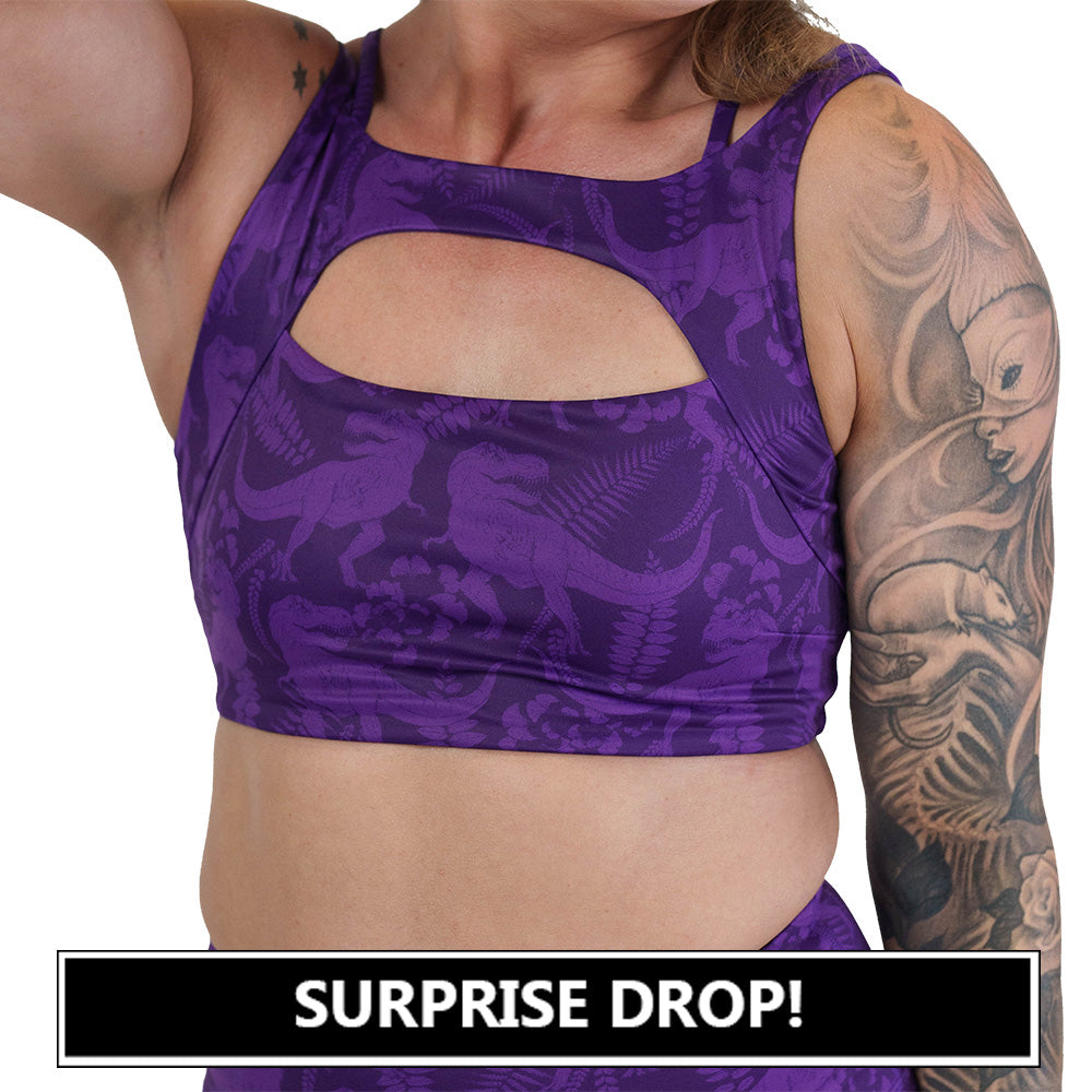 purple dinosaur patterned sports bra