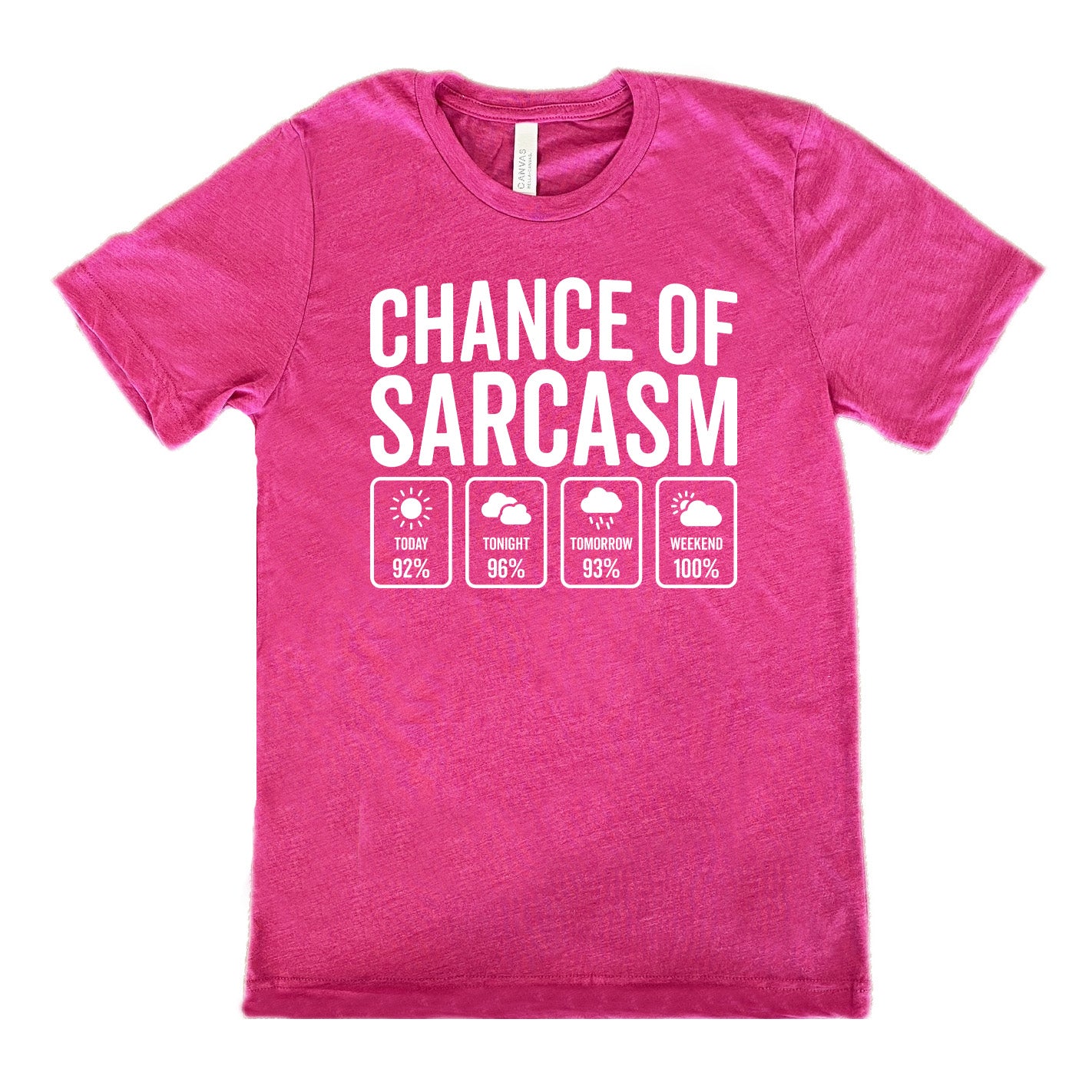 Berry Unisex Tee with Chance of Sarcasm in white lettering, with four weather predictions below