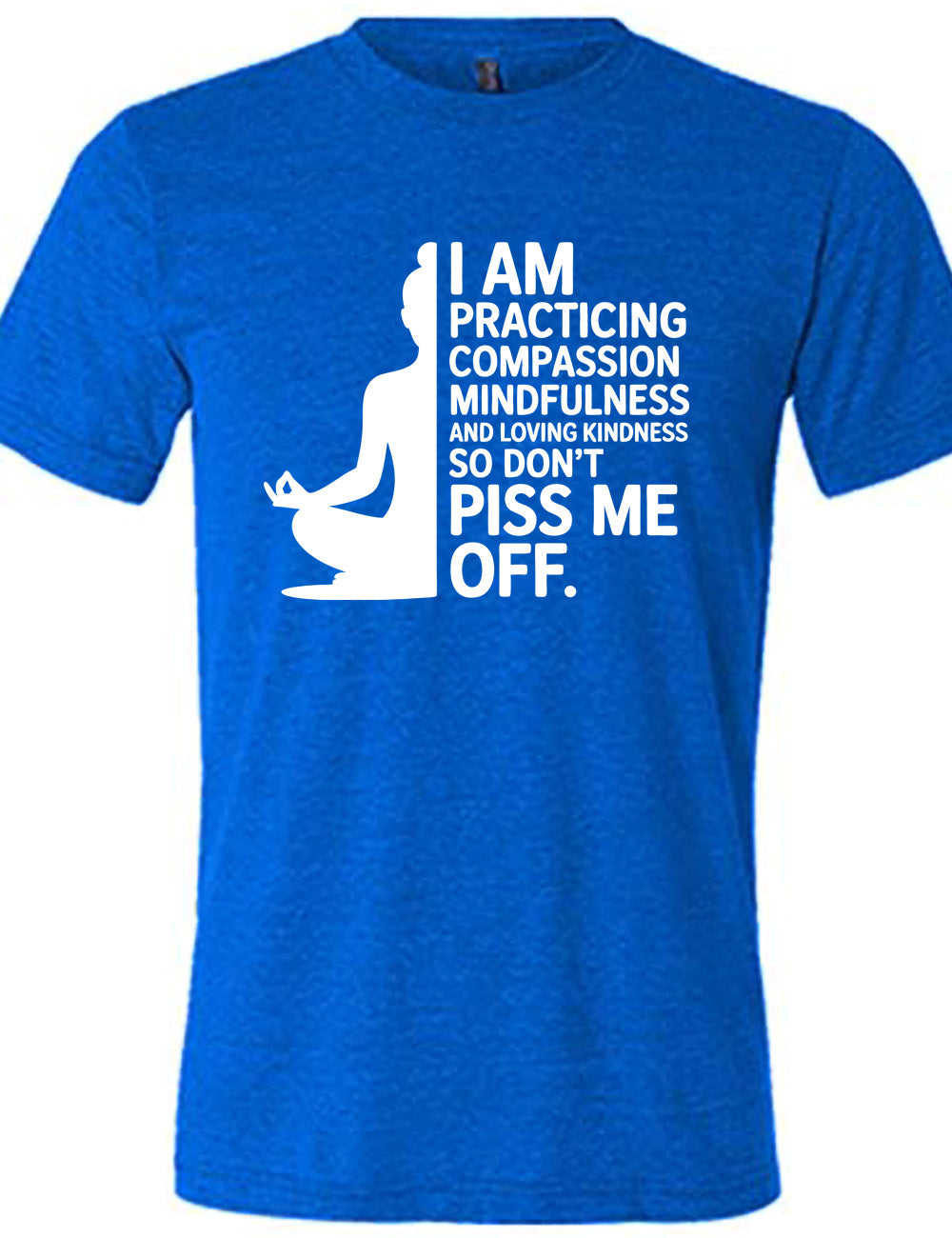 blue unisex tee with the graphic of a woman's silhouette (only one half of it) next to the words saying "I am practicing compassion mindfulness and loving kindness so don't piss me off."