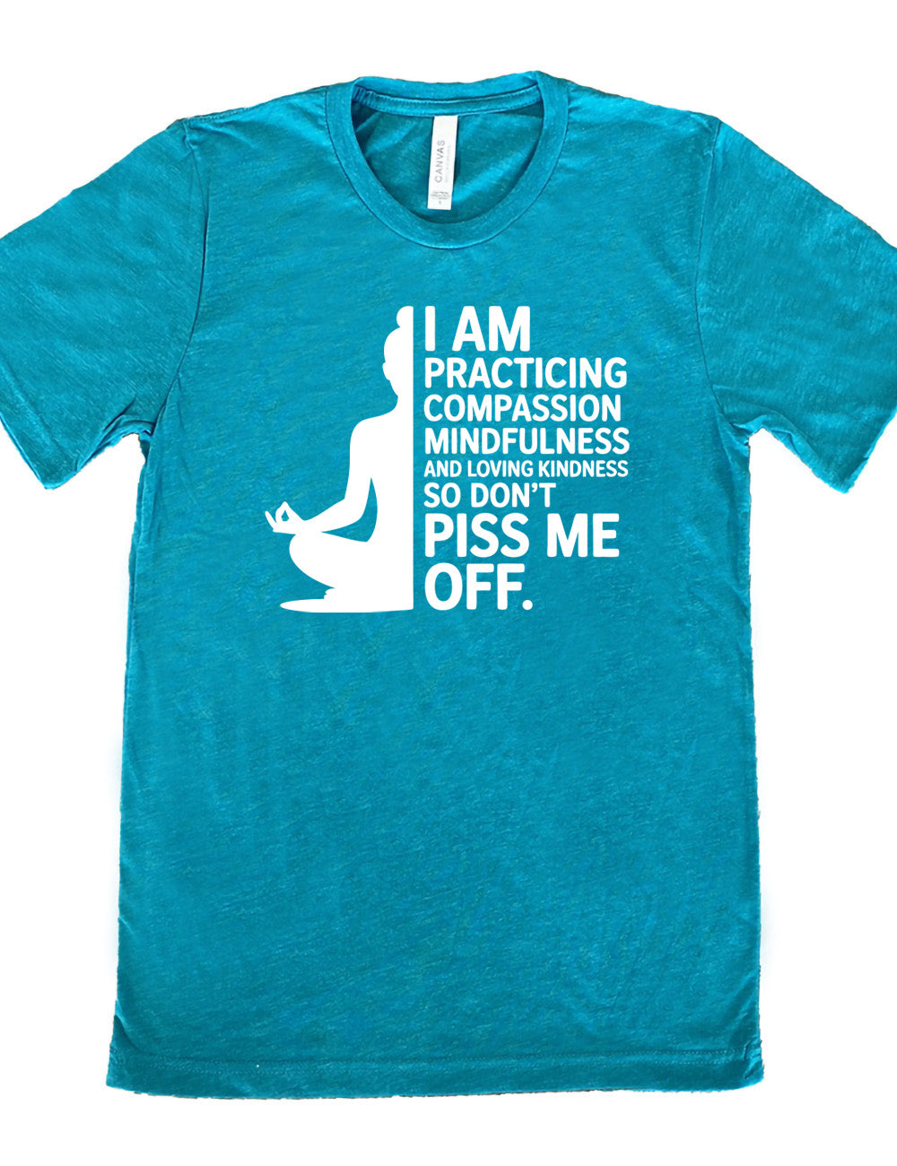 teal unisex tee with the graphic of a woman's silhouette (only one half of it) next to the words saying "I am practicing compassion mindfulness and loving kindness so don't piss me off."