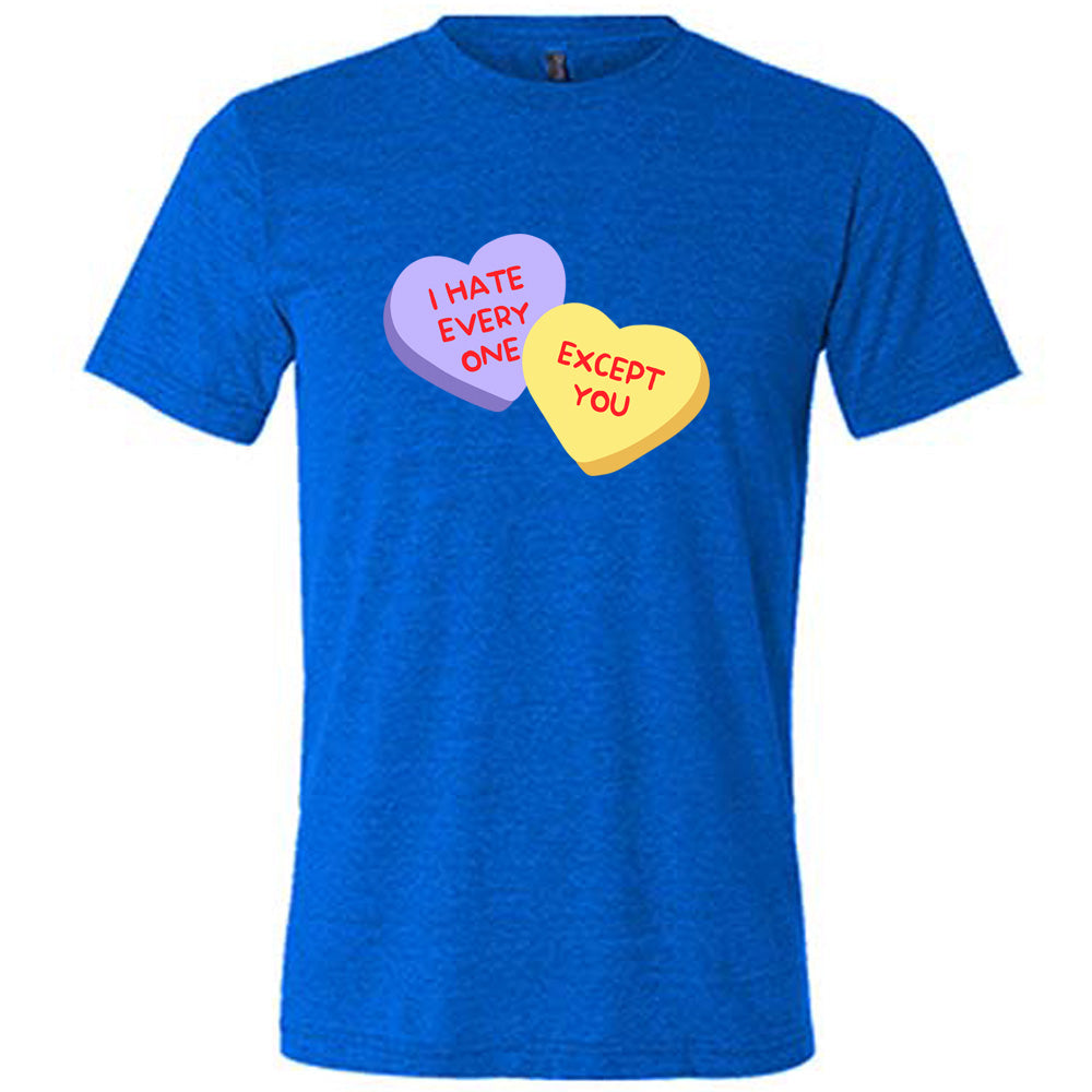 blue shirt with the text "I Hate Everyone Except You" on it