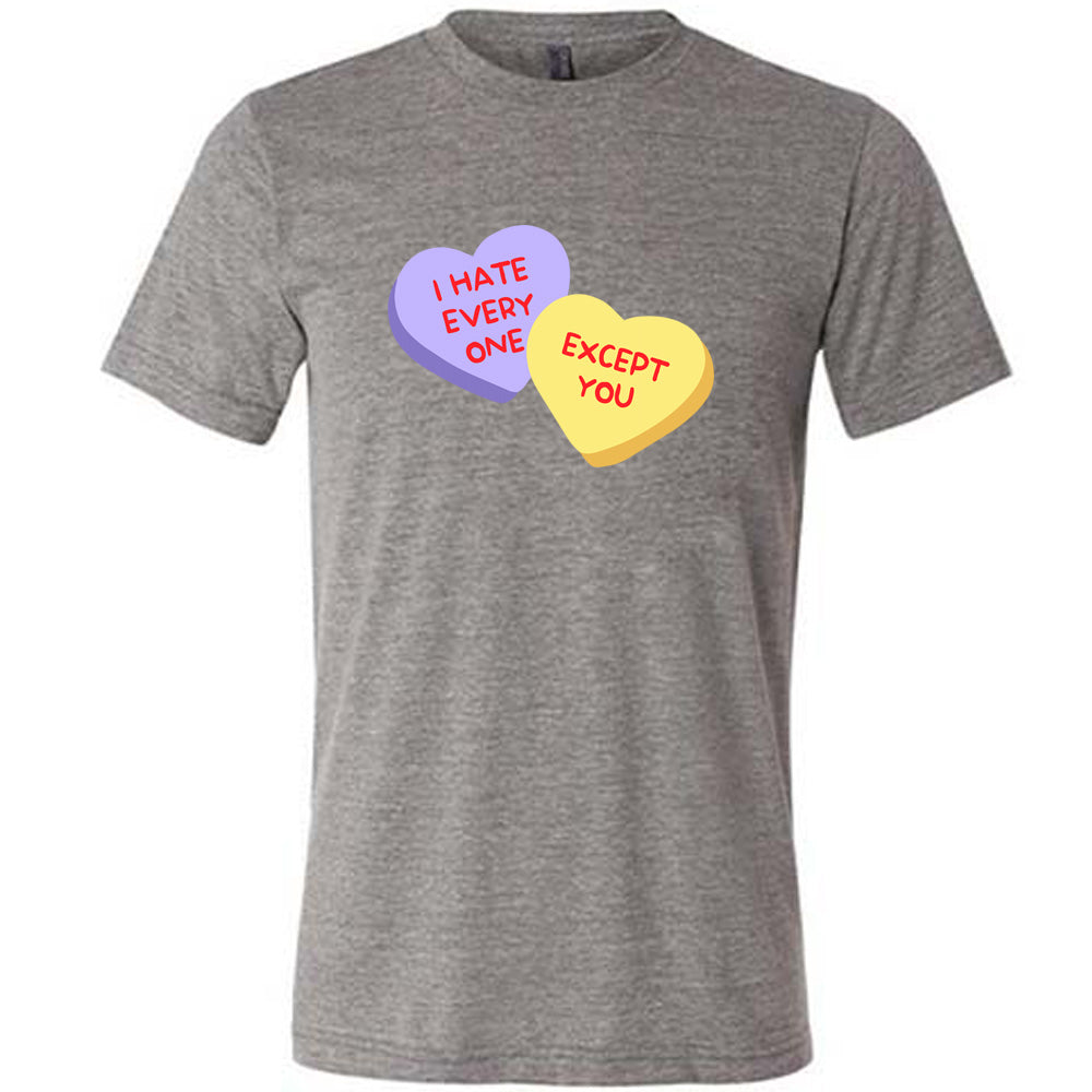 grey shirt with the text "I Hate Everyone Except You" on it