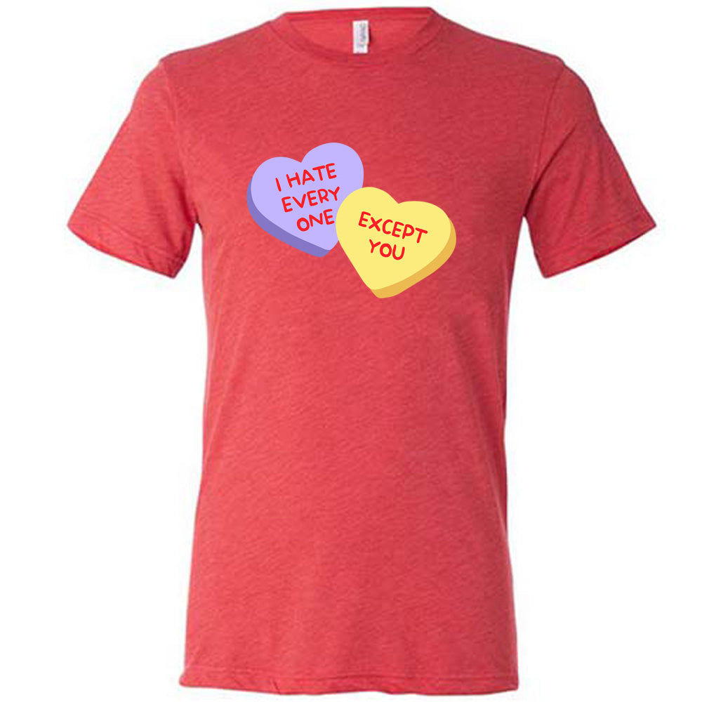 red shirt with the text "I Hate Everyone Except You" on it