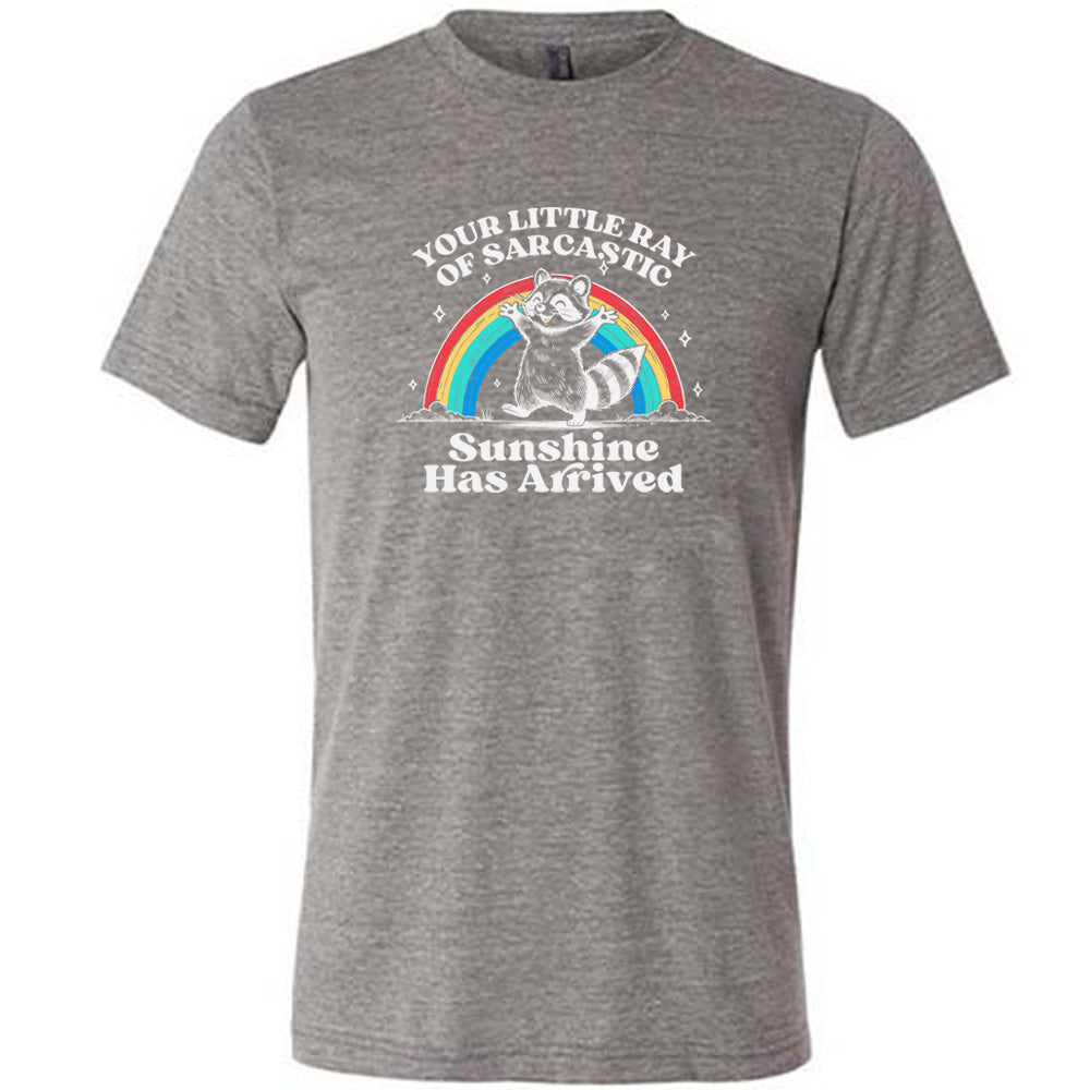 Grey colored shirt with a rainbow and raccoon graphic on it that says "Your Little Ray of Sarcastic Sunshine Has Arrived"
