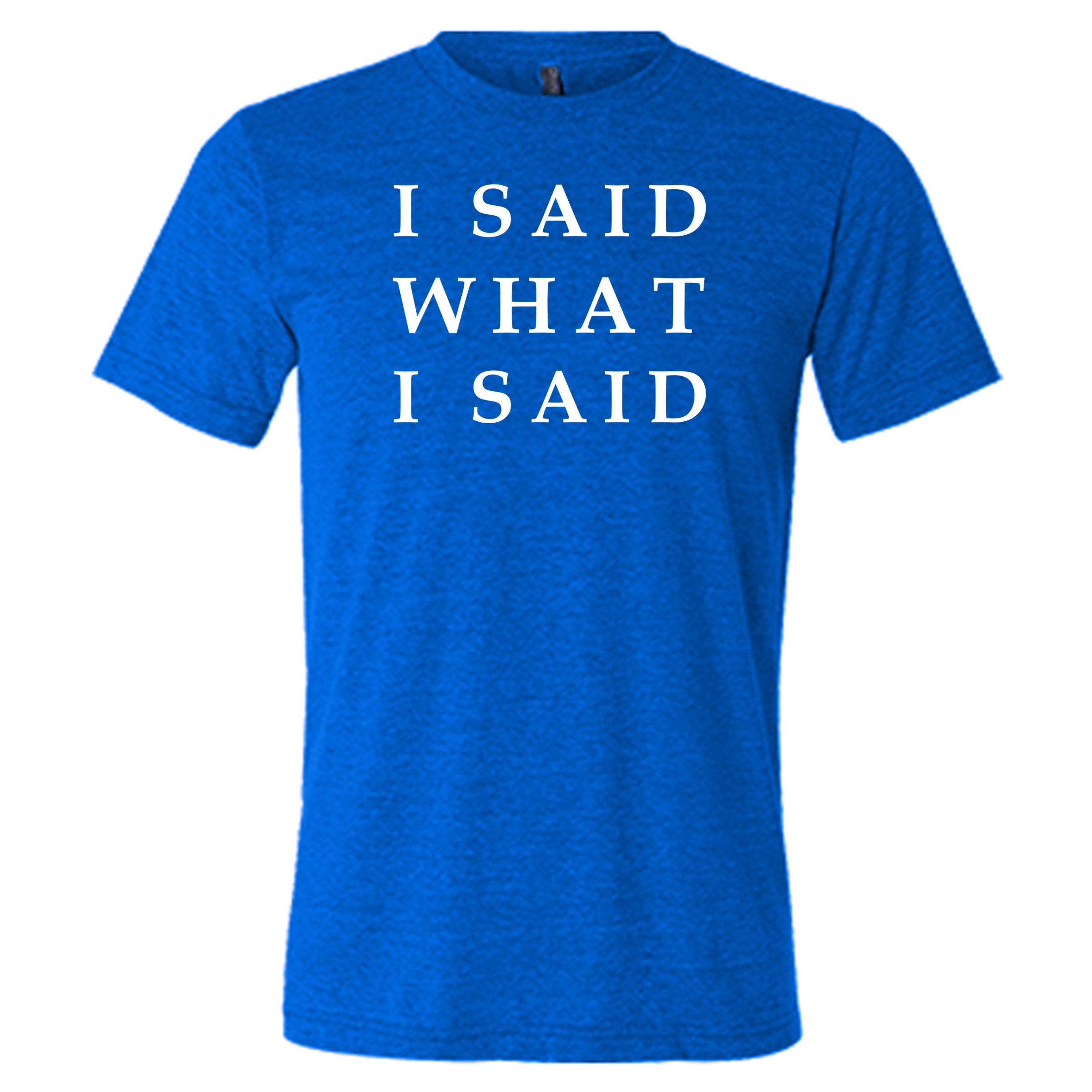 blue I Said What I Said shirt