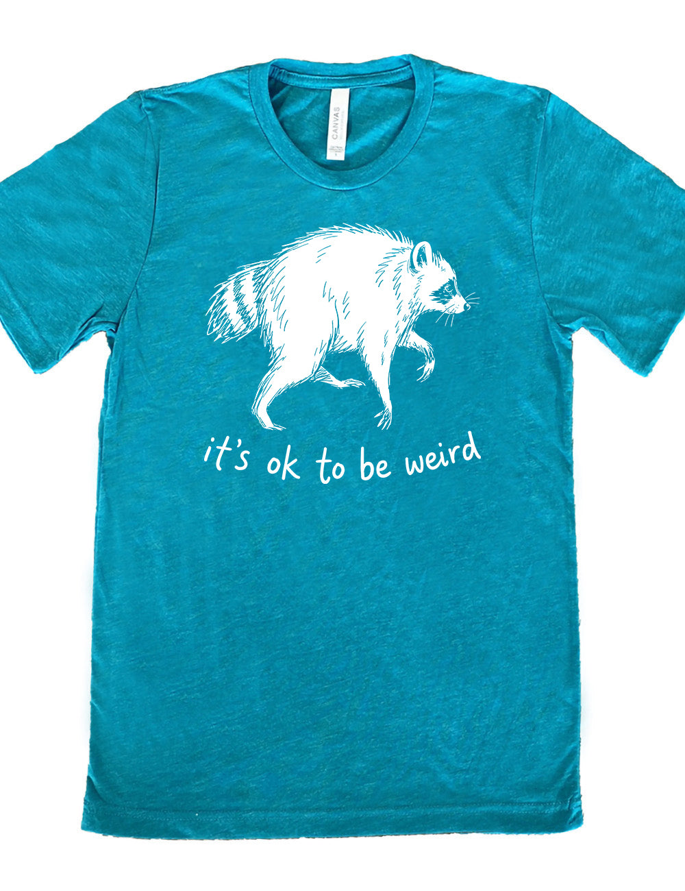 front of the teal "it's okay to be weird" raccoon unisex tee