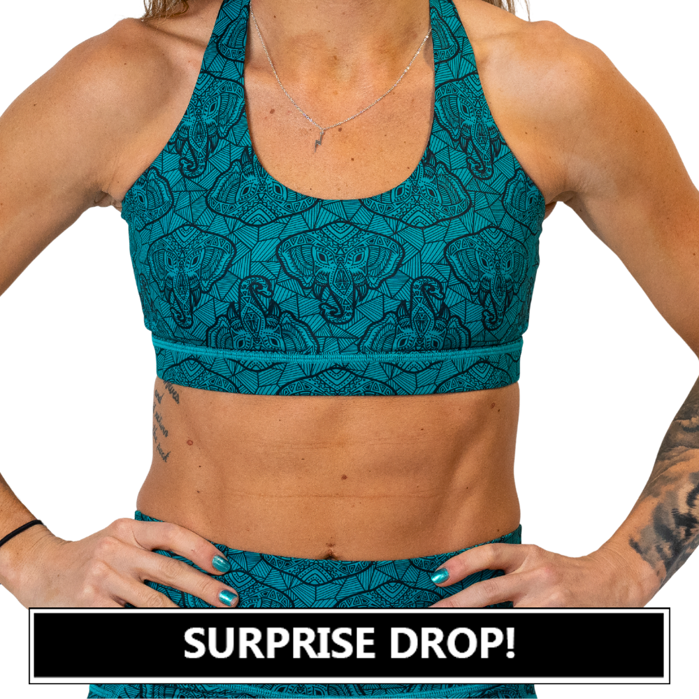 blue elephant outline bra surprise drop