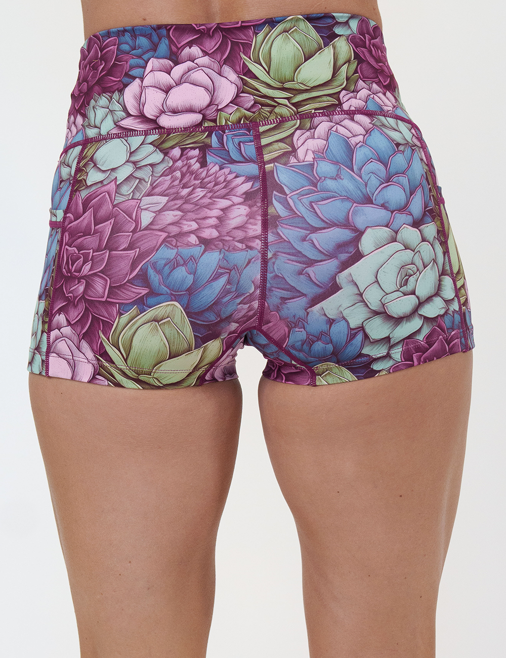 back of the 2.5 inch succulents and flowers shorts against a white background