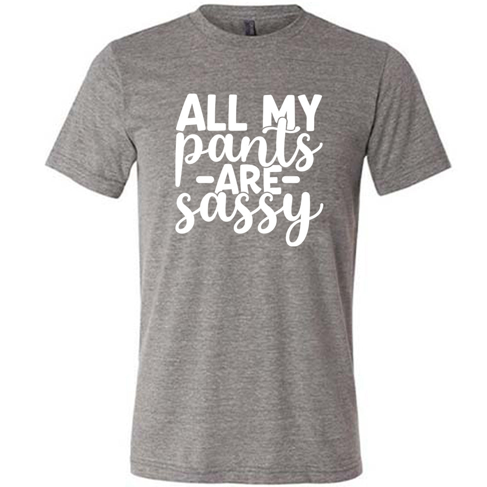 grey unisex tee with the words "all my pants are sassy" on it