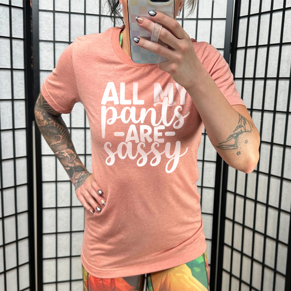 sunset unisex tee with the words "all my pants are sassy" on it