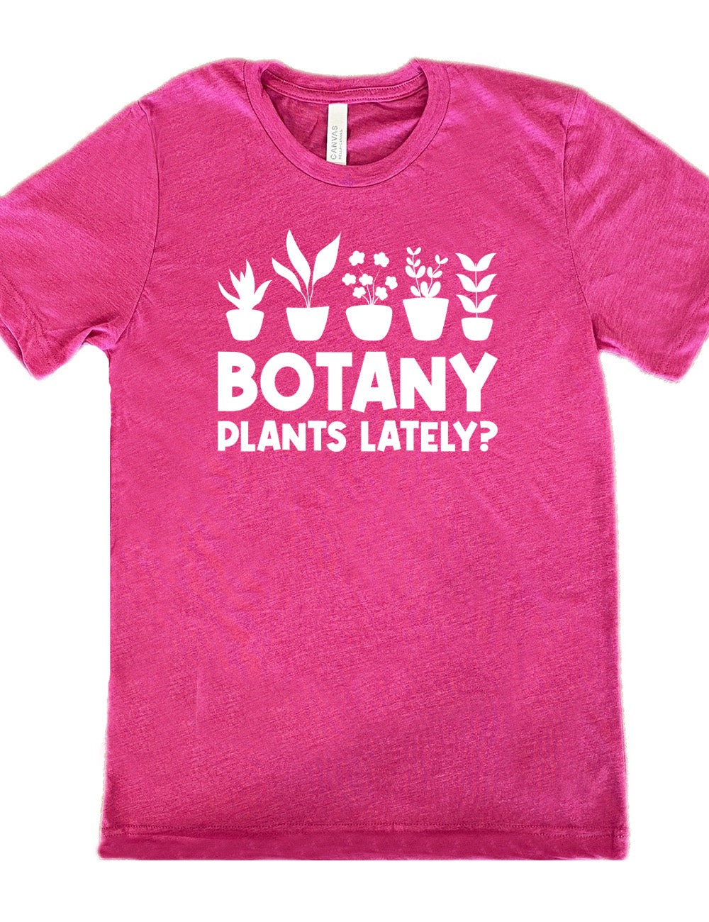 berry unisex tee with the words "Botany plants lately?" under the graphic of a line of five houseplants
