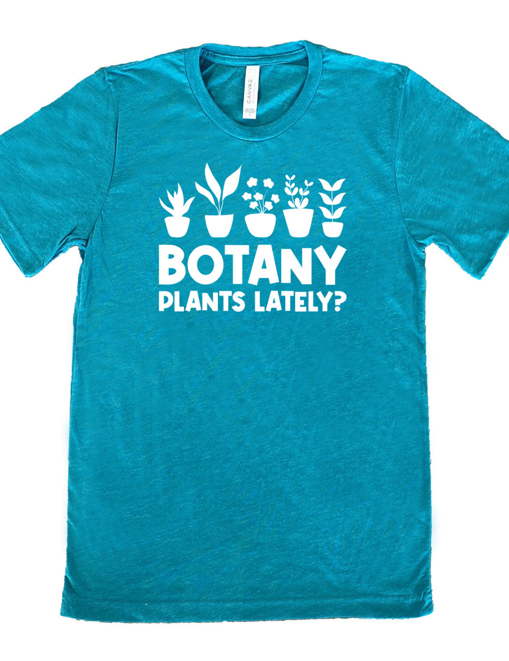 teal unisex tee with the words "Botany plants lately?" under the graphic of a line of five houseplants