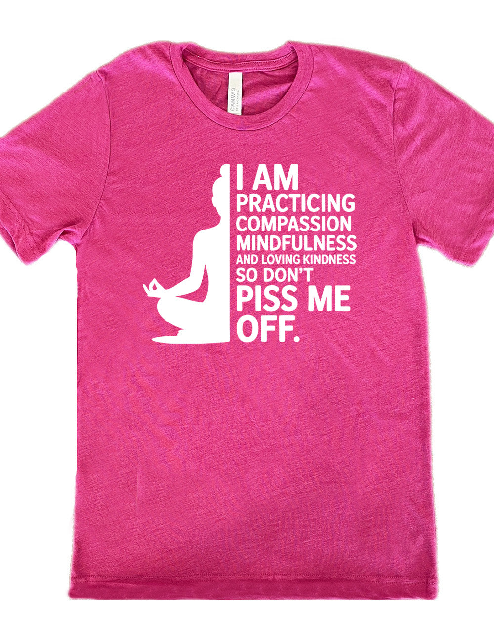 berry unisex tee with the graphic of a woman's silhouette (only one half of it) next to the words saying "I am practicing compassion mindfulness and loving kindness so don't piss me off."