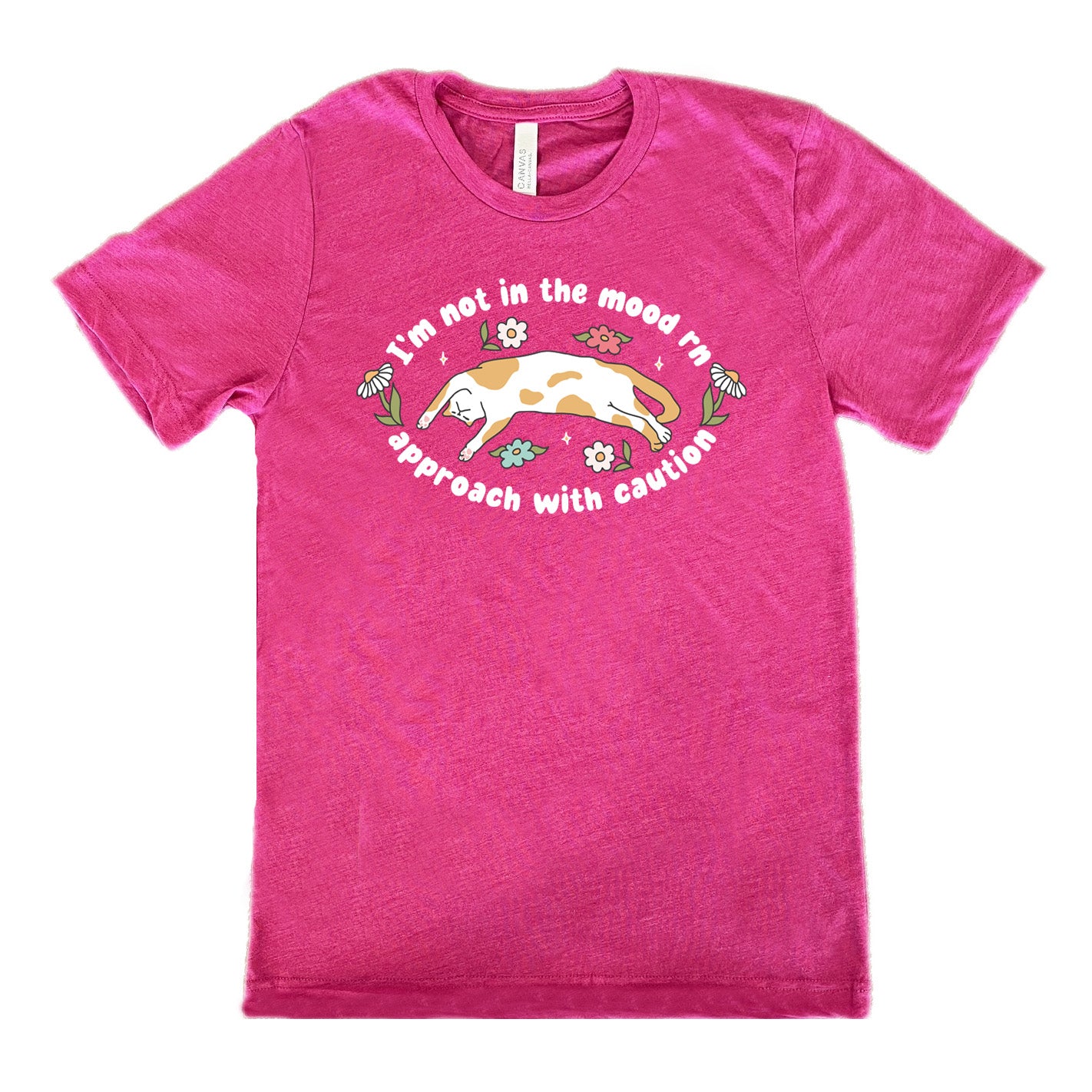 berry unisex tee with the words "I'm not in the mood rn approach with caution" on it in an oval, with the graphic of a cat splayed on its back within the words, and a few flowers around