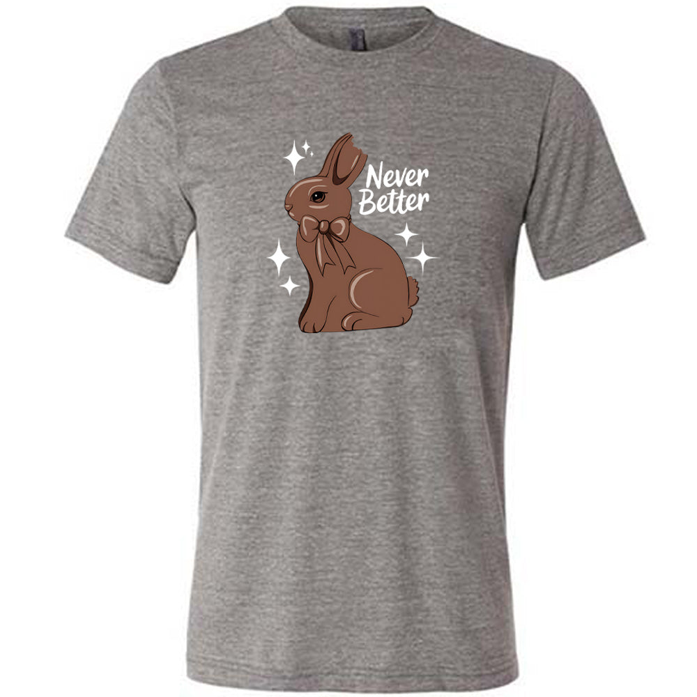 Grey colored shirt with a chocolate bunny graphic on it that says "Never Better" 