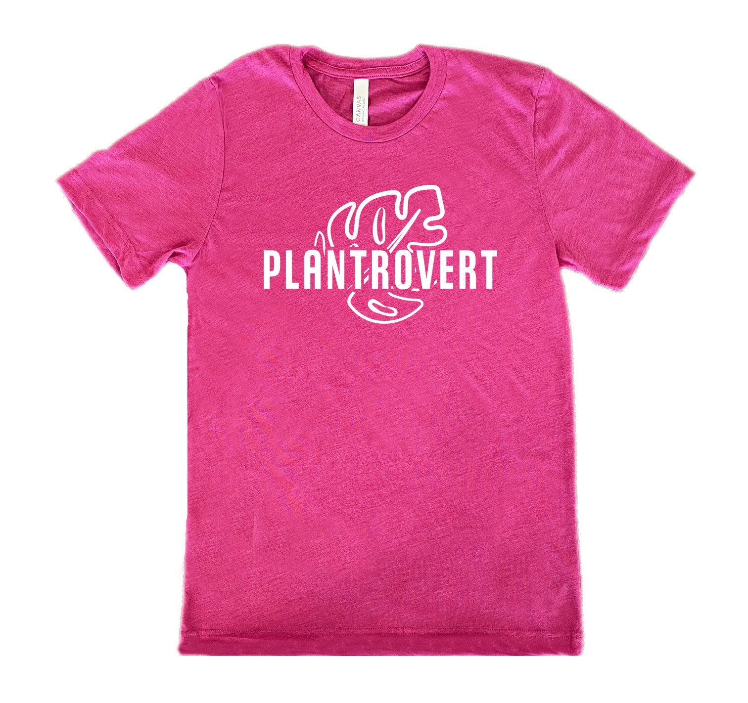 Berry colored shirt with a leaf graphic on it that says "Plantrovert" 