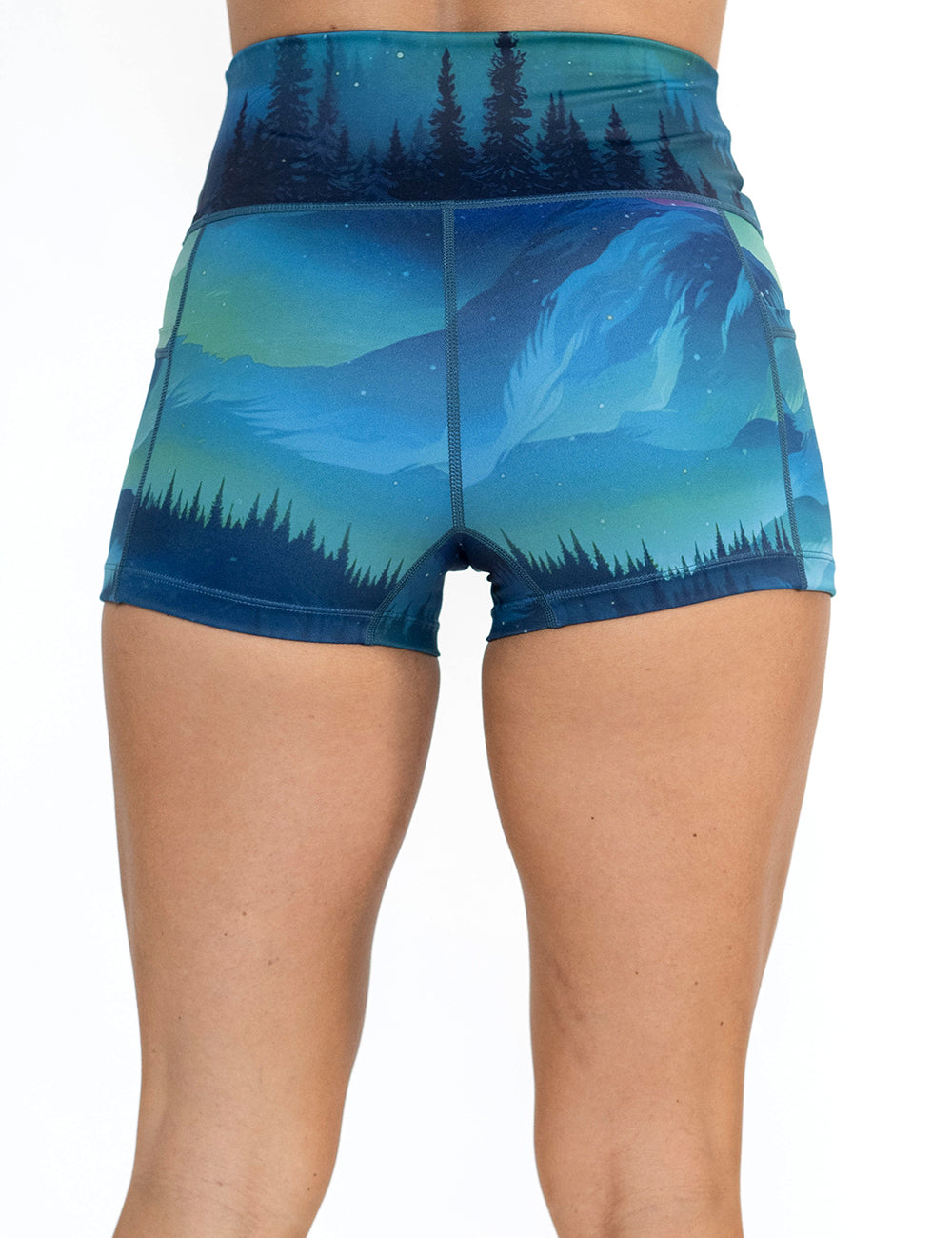 back of the 2.5 inch wilderness aurora shorts against a white background