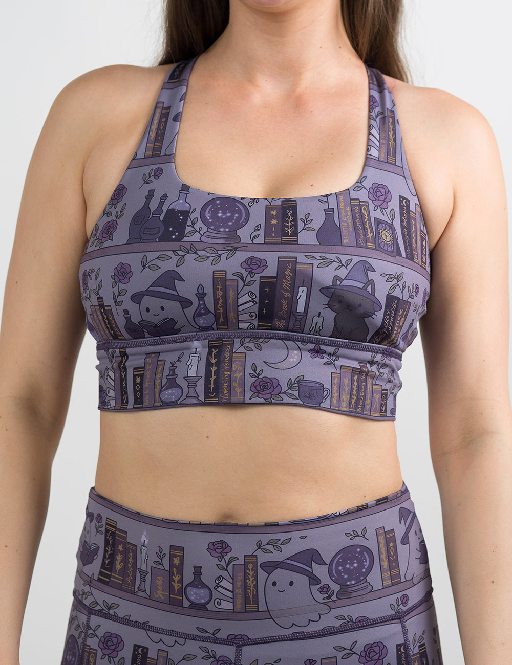 front of the ghosts and cats book shelves bra against a white background