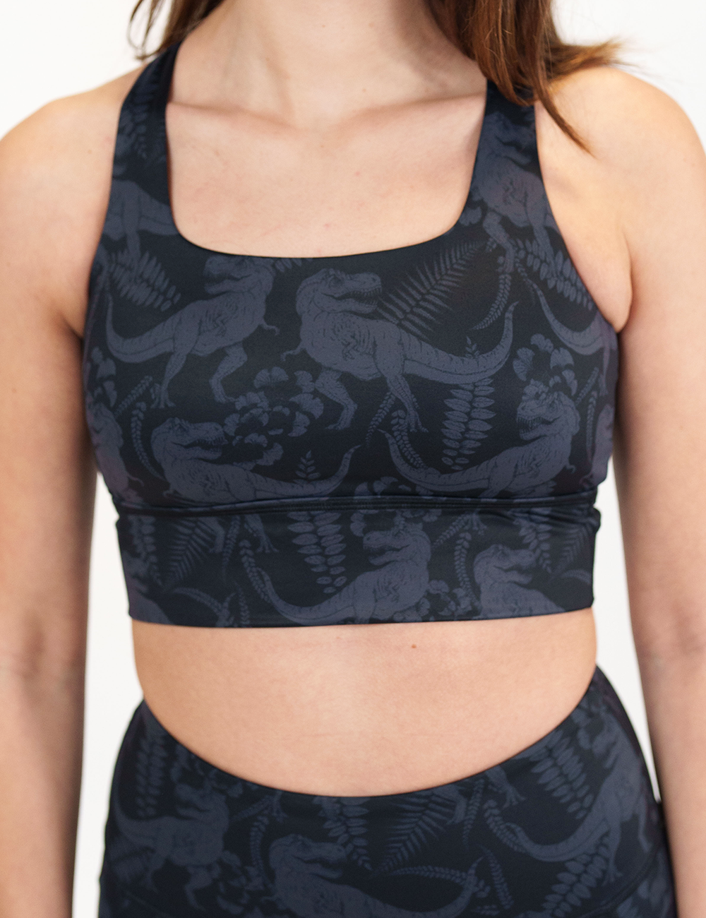 front of the grey t-rex against a black background print longline bra