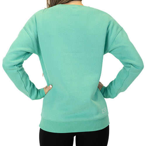 back view of basic spearmint colored crew neck